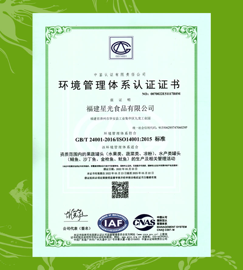 环境管理体系认证证书