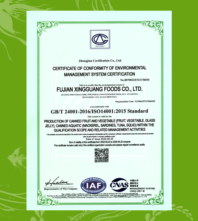 CERTIFICATE OF CONFORMITY OF ENVIRONMENTAL MANAGEMENT SYSTEM CERTIFICATION