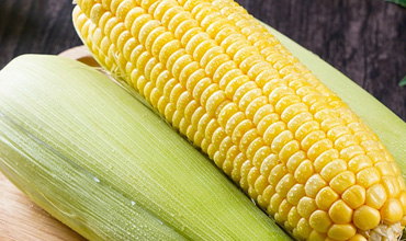 漳州市推行出口食品企业备案管理改革 企业可当地审批