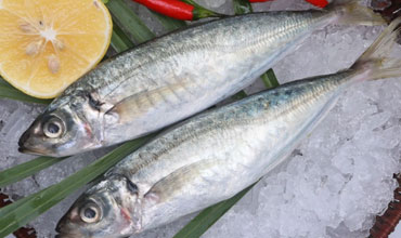 漳州市推行出口食品企业备案管理改革 企业可当地审批